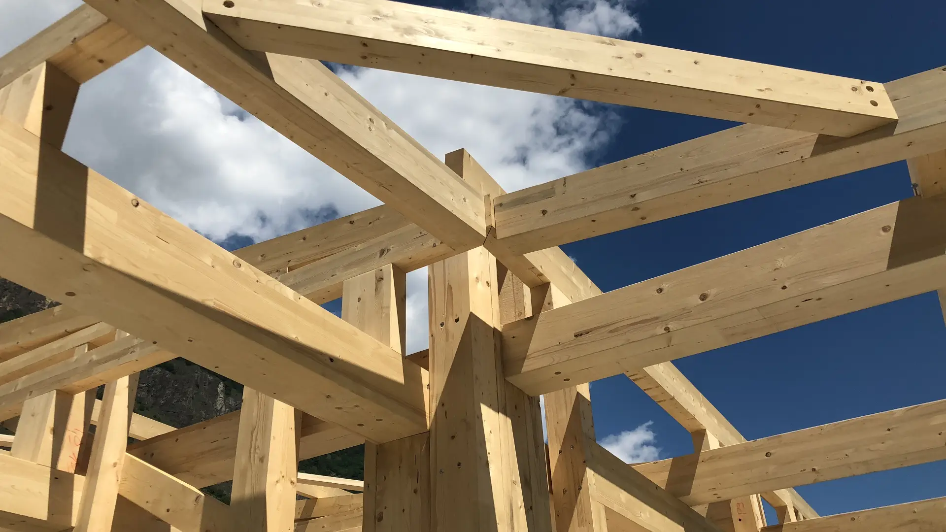 3E44CDF1-5F26-4D17-8E33-8104EBBA10E9